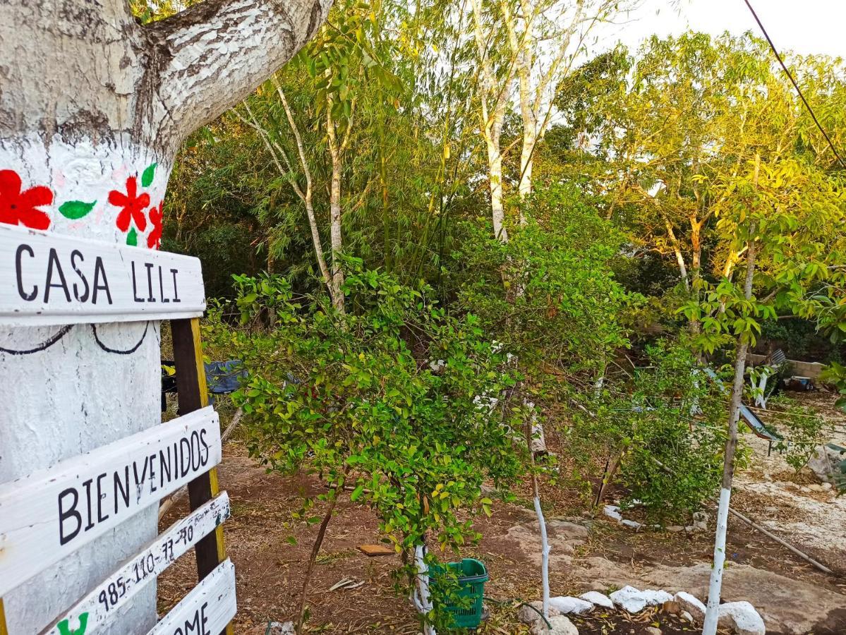 Casa Lili Luxury Valladolid "Fast Wifi, Hot Water, Kitchen & Tv" 외부 사진
